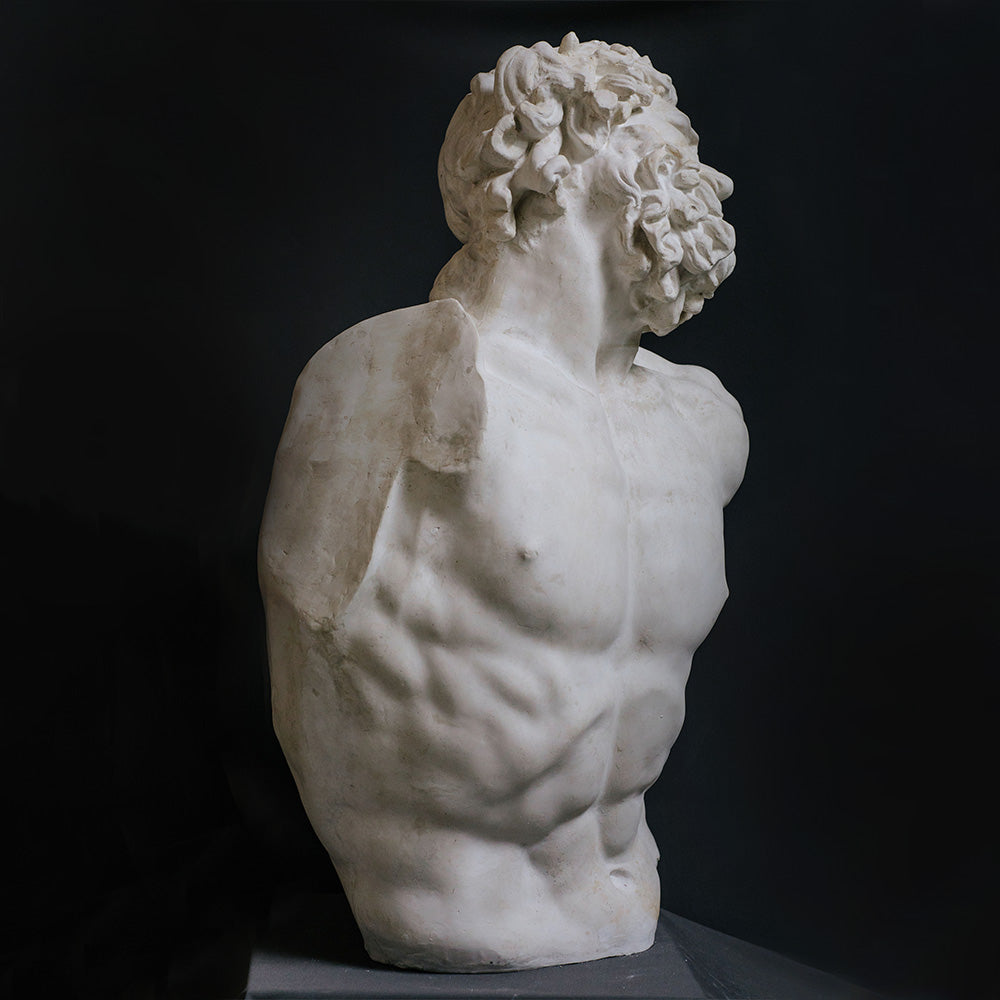 Busto del Laocoonte