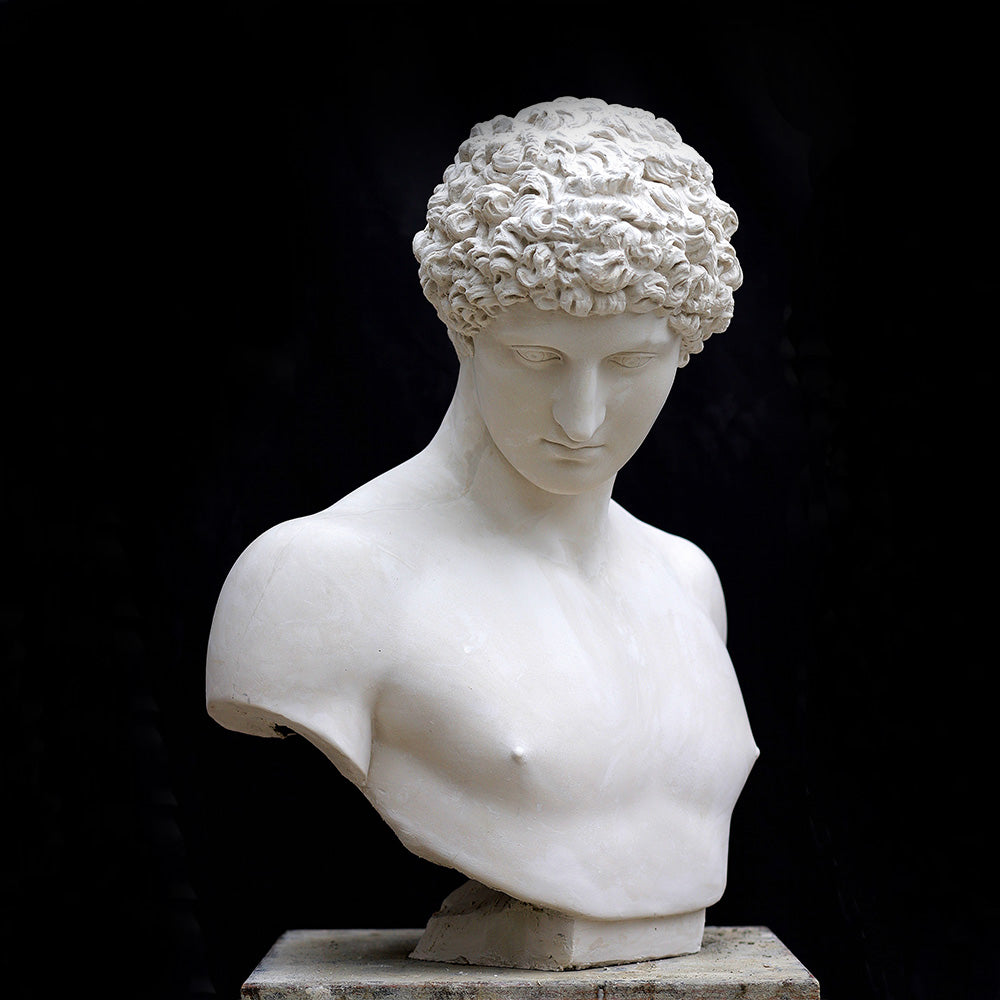 Busto di Antinoo