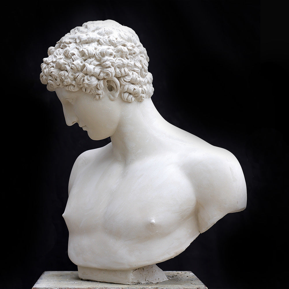 Busto di Antinoo