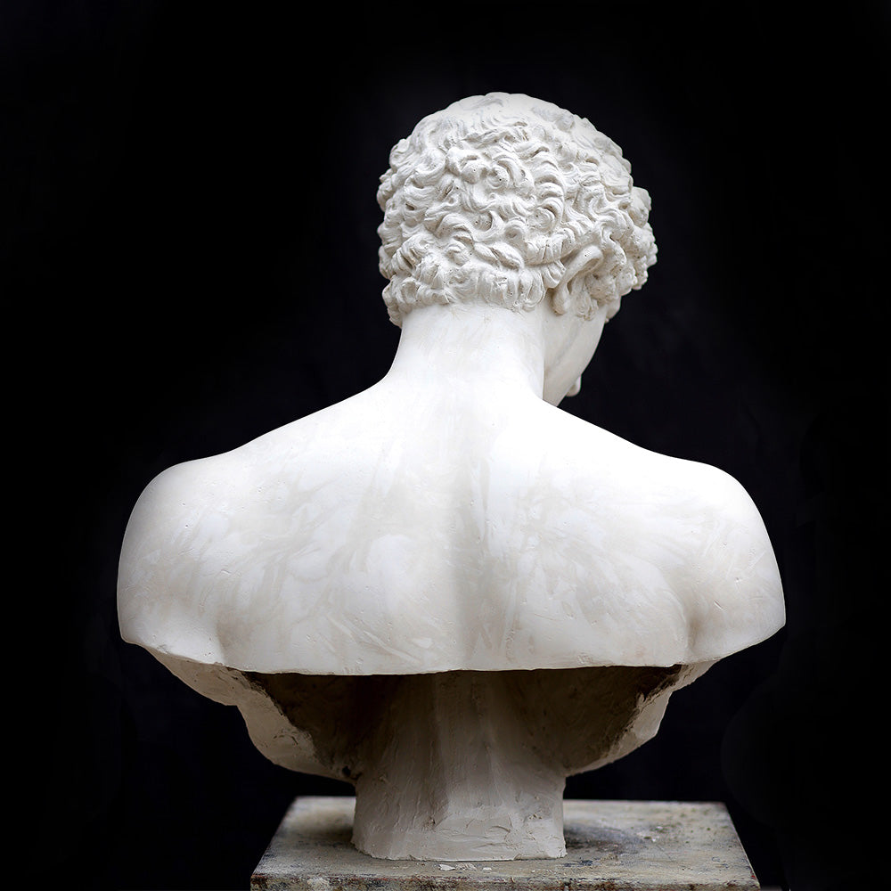 Busto di Antinoo
