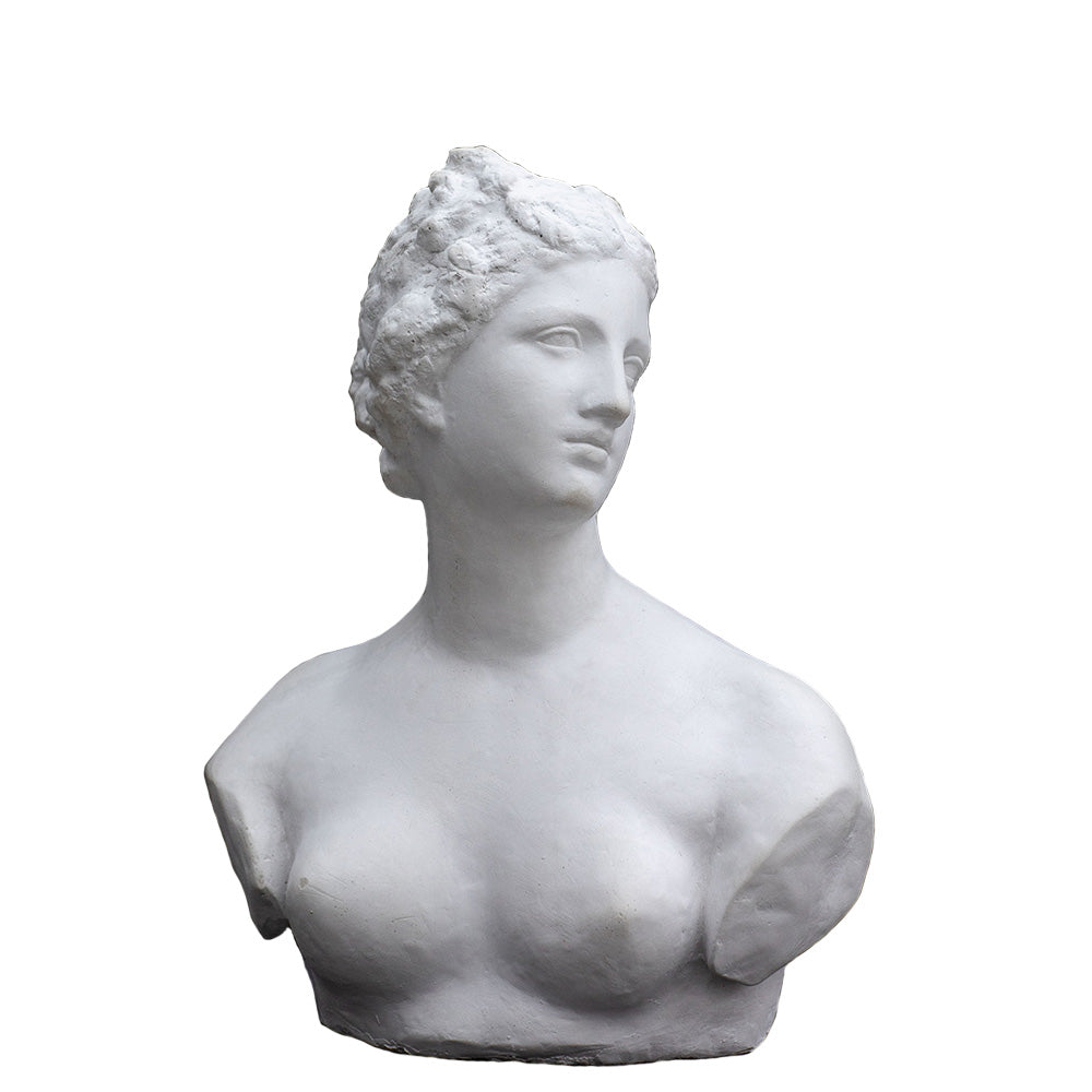 Venere Medici