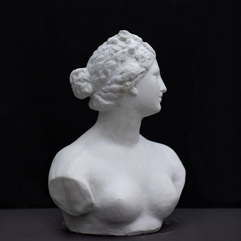 Venere Medici
