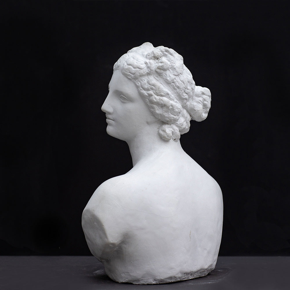 Venere Medici